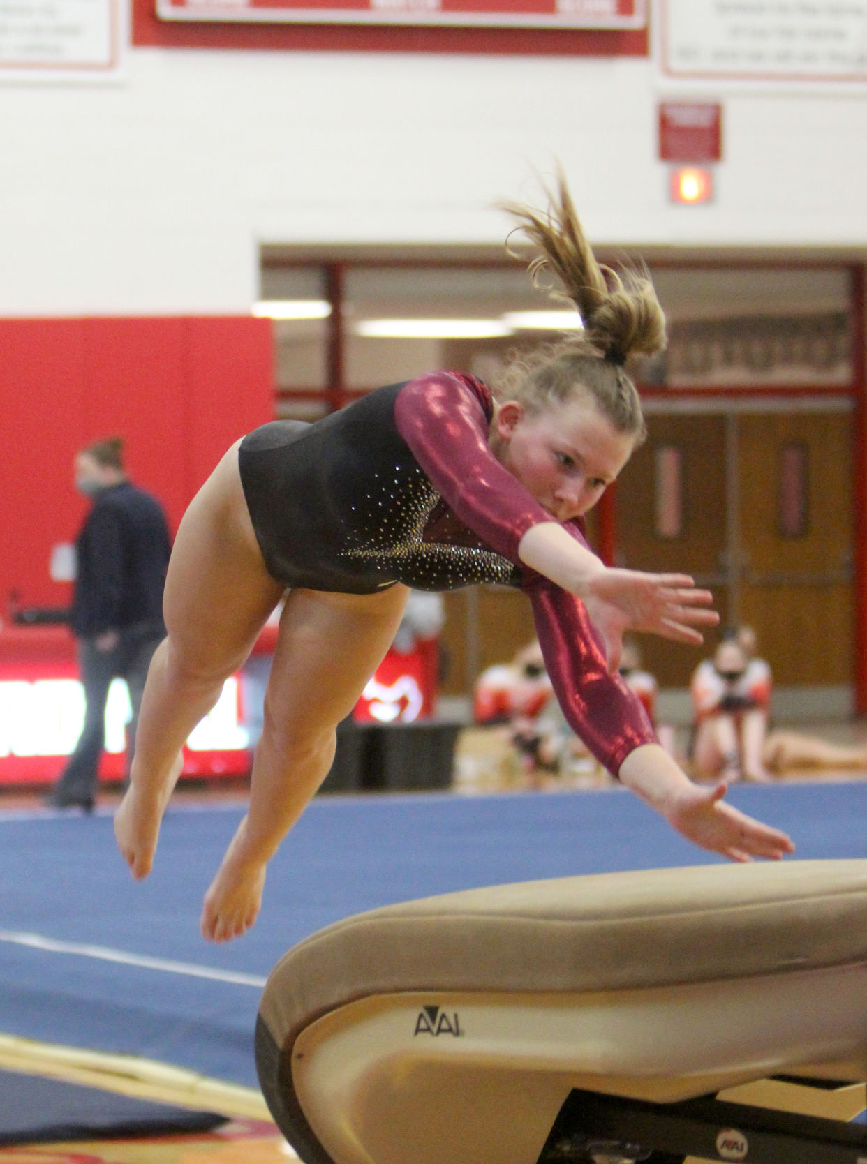 Chippewa Falls Gymnastics Triangular 1-16-21